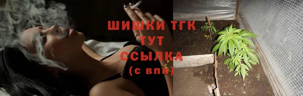 винт Фурманов