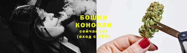 винт Фурманов