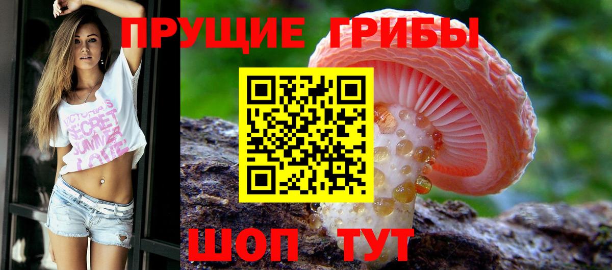 Псилоцибиновые грибы MAGIC MUSHROOMS Бахчисарай