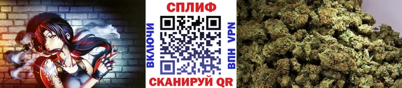 Бошки Шишки конопля  Бахчисарай 